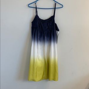 Ann Taylor loft dress